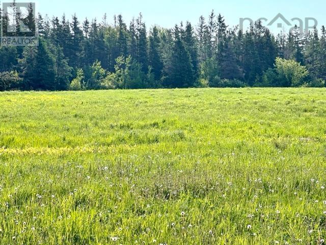 677 Blue Sea Road, Malagash Point, Nova Scotia  B0K 1E0 - Photo 10 - 202402201