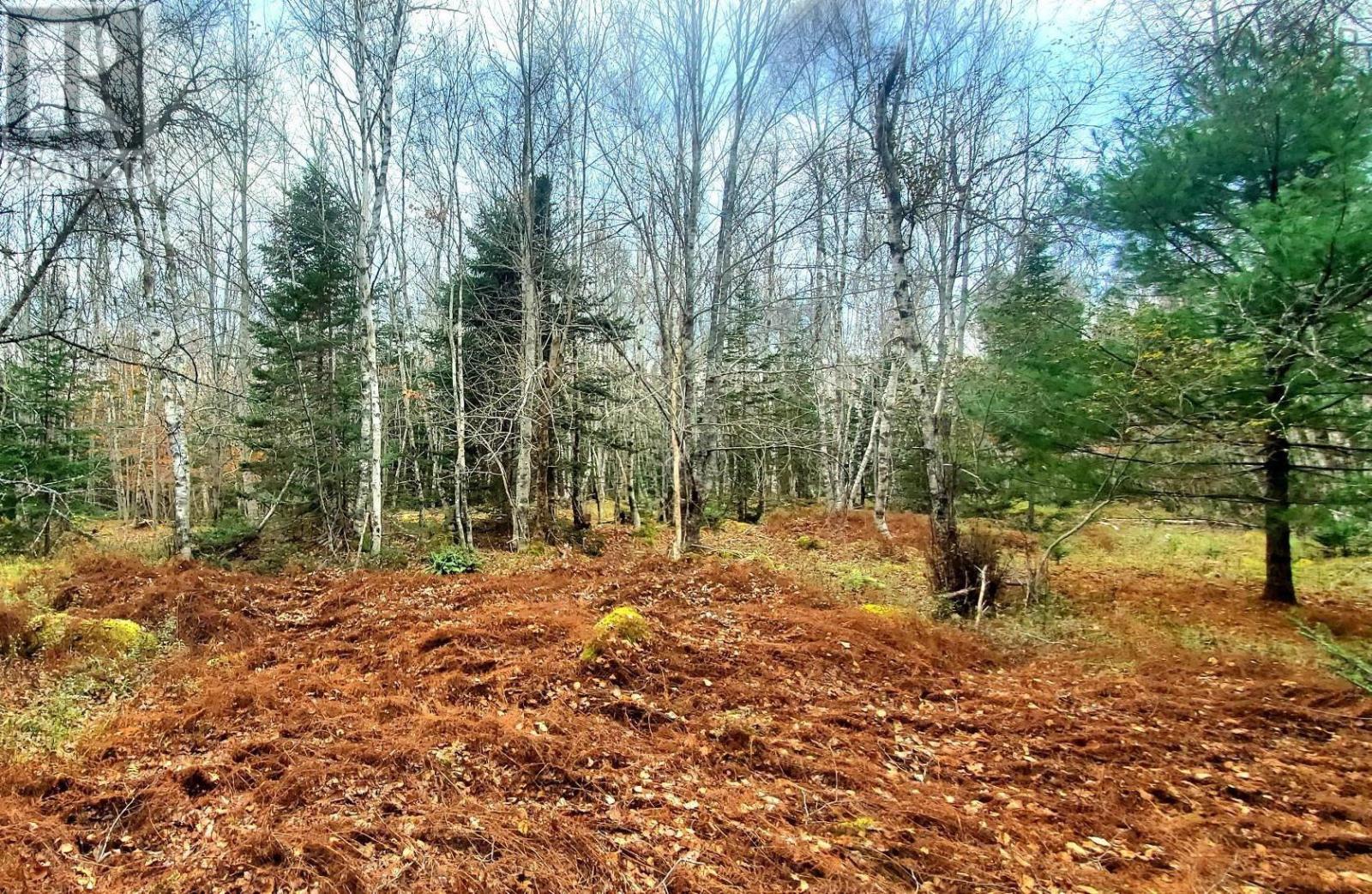 Lot 24-1 Cornwall Road, Upper New Cornwall, Nova Scotia  B0J 2E0 - Photo 13 - 202402241