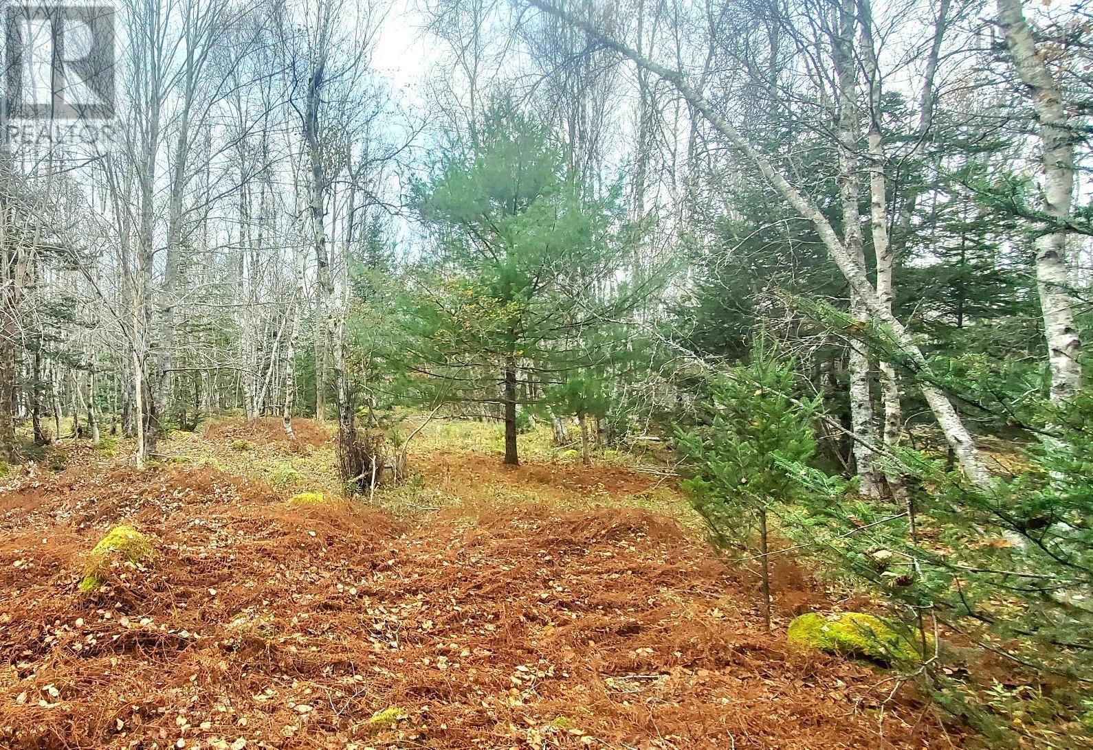 Lot 24-1 Cornwall Road, Upper New Cornwall, Nova Scotia  B0J 2E0 - Photo 14 - 202402241