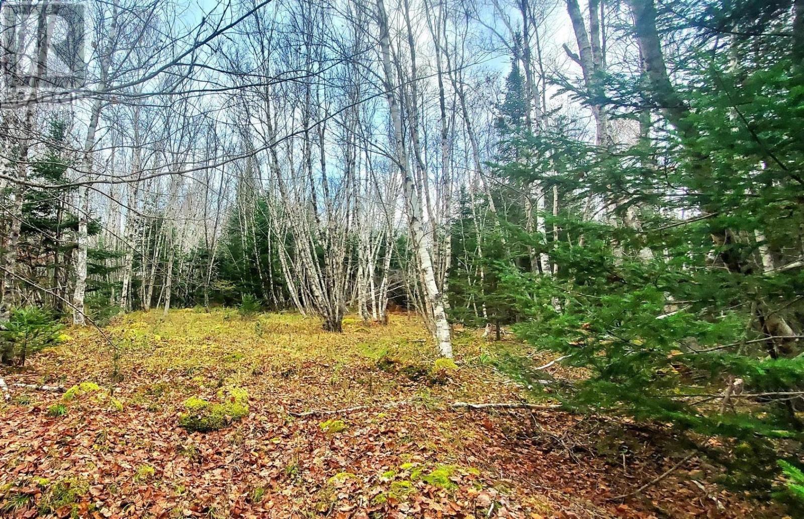 Lot 24-1 Cornwall Road, Upper New Cornwall, Nova Scotia  B0J 2E0 - Photo 7 - 202402241