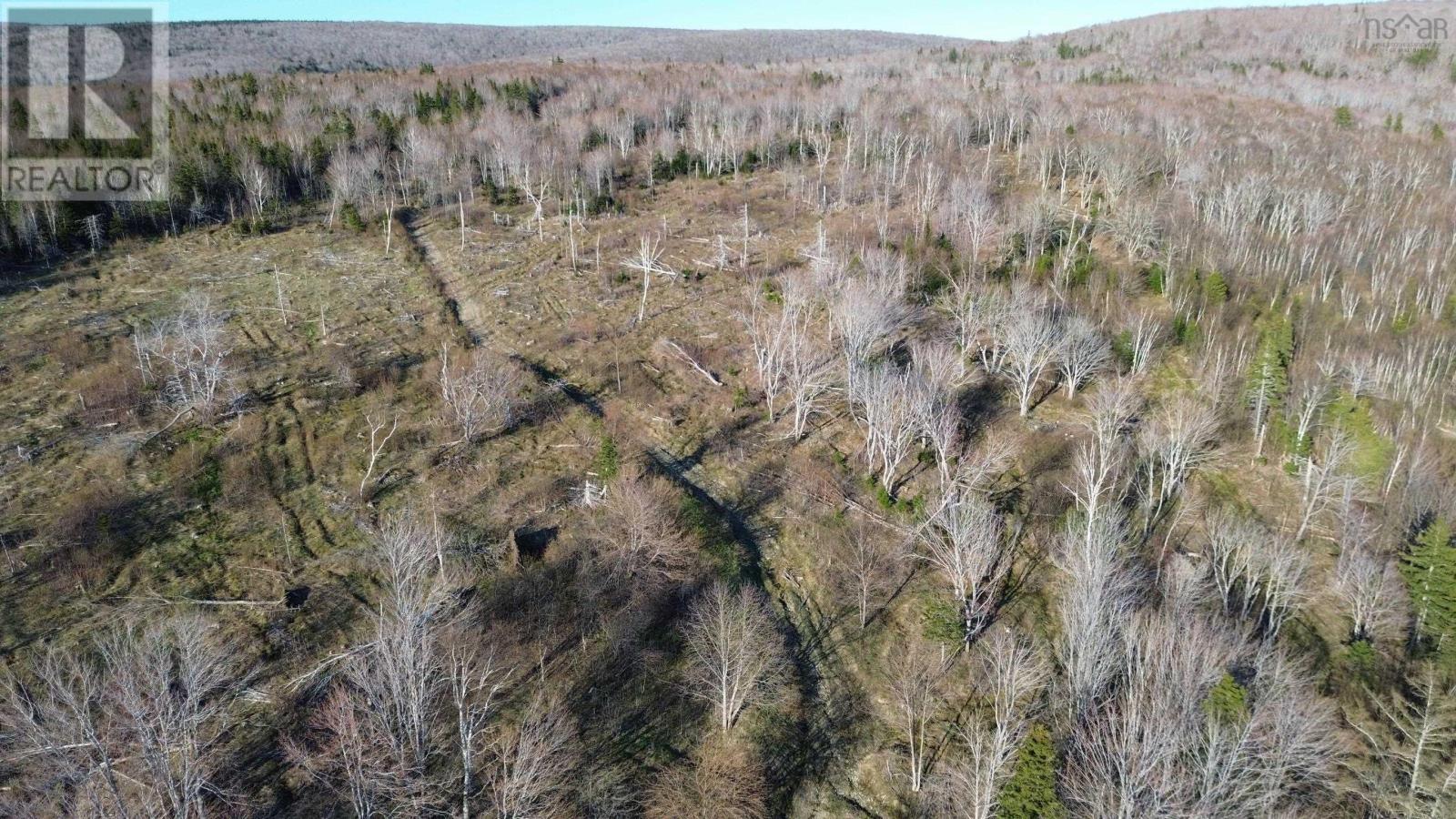 Lot Whycocomagh Road, East Lake Ainslie, Nova Scotia  B0E 3M0 - Photo 13 - 202402272