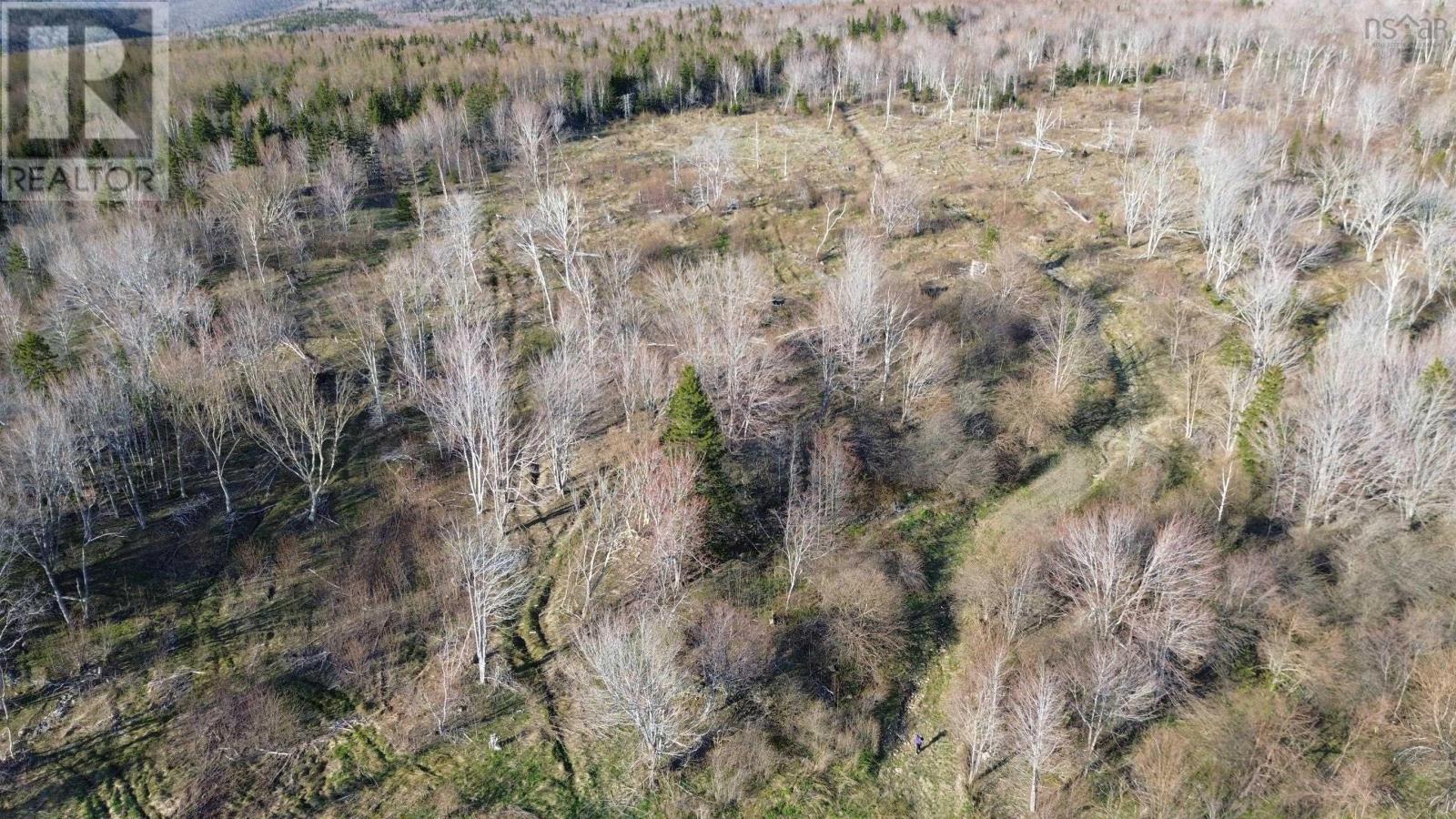 Lot Whycocomagh Road, East Lake Ainslie, Nova Scotia  B0E 3M0 - Photo 5 - 202402272