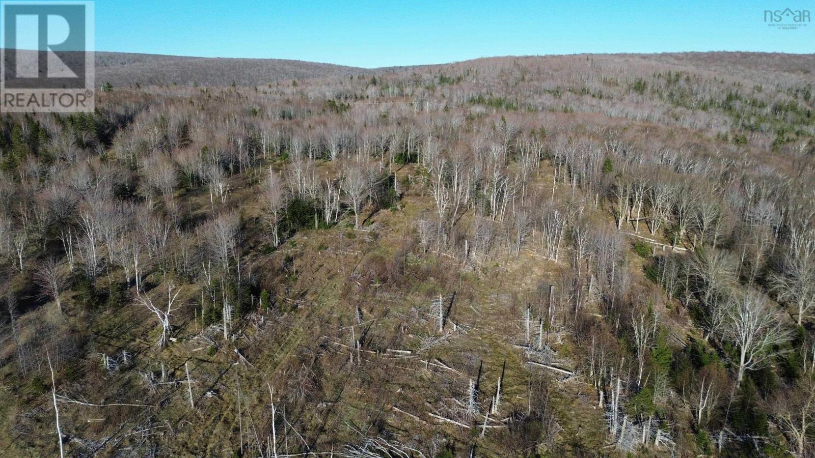 Lot Whycocomagh Road, East Lake Ainslie, Nova Scotia  B0E 3M0 - Photo 6 - 202402272