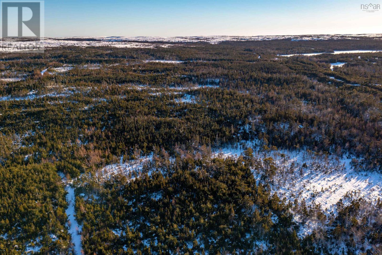 0 Highway 16, Peas Brook, Nova Scotia  B0H 1N0 - Photo 27 - 202402308