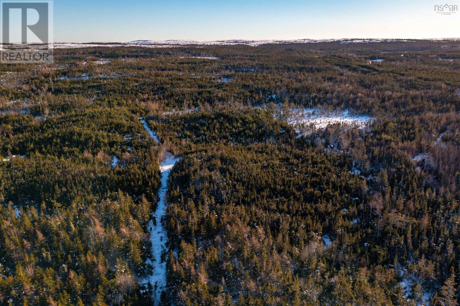 0 Highway 16, Peas Brook, Nova Scotia  B0H 1N0 - Photo 29 - 202402308