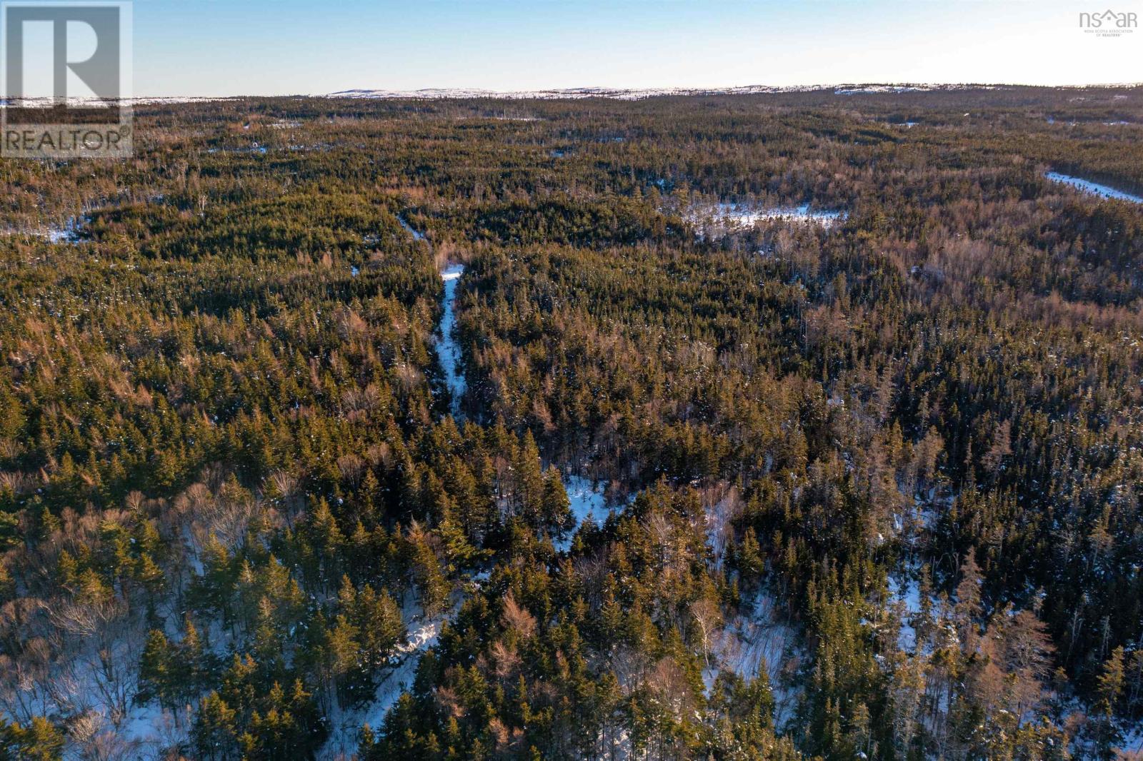 0 Highway 16, Peas Brook, Nova Scotia  B0H 1N0 - Photo 30 - 202402308