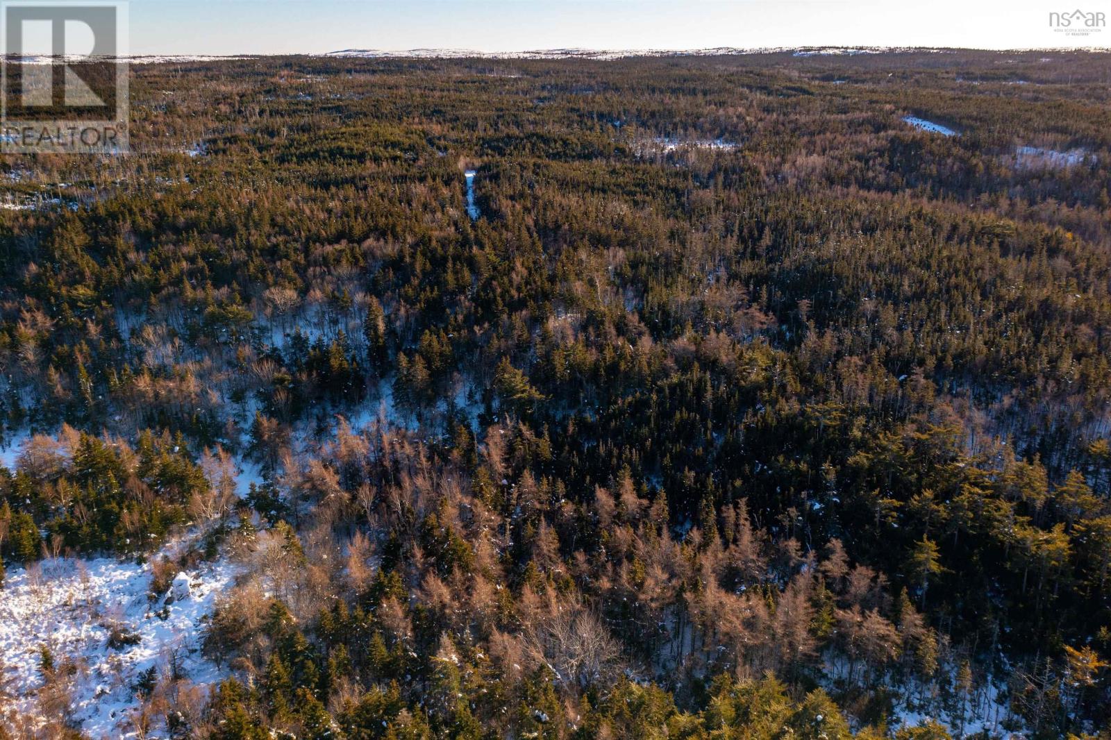 0 Highway 16, Peas Brook, Nova Scotia  B0H 1N0 - Photo 31 - 202402308