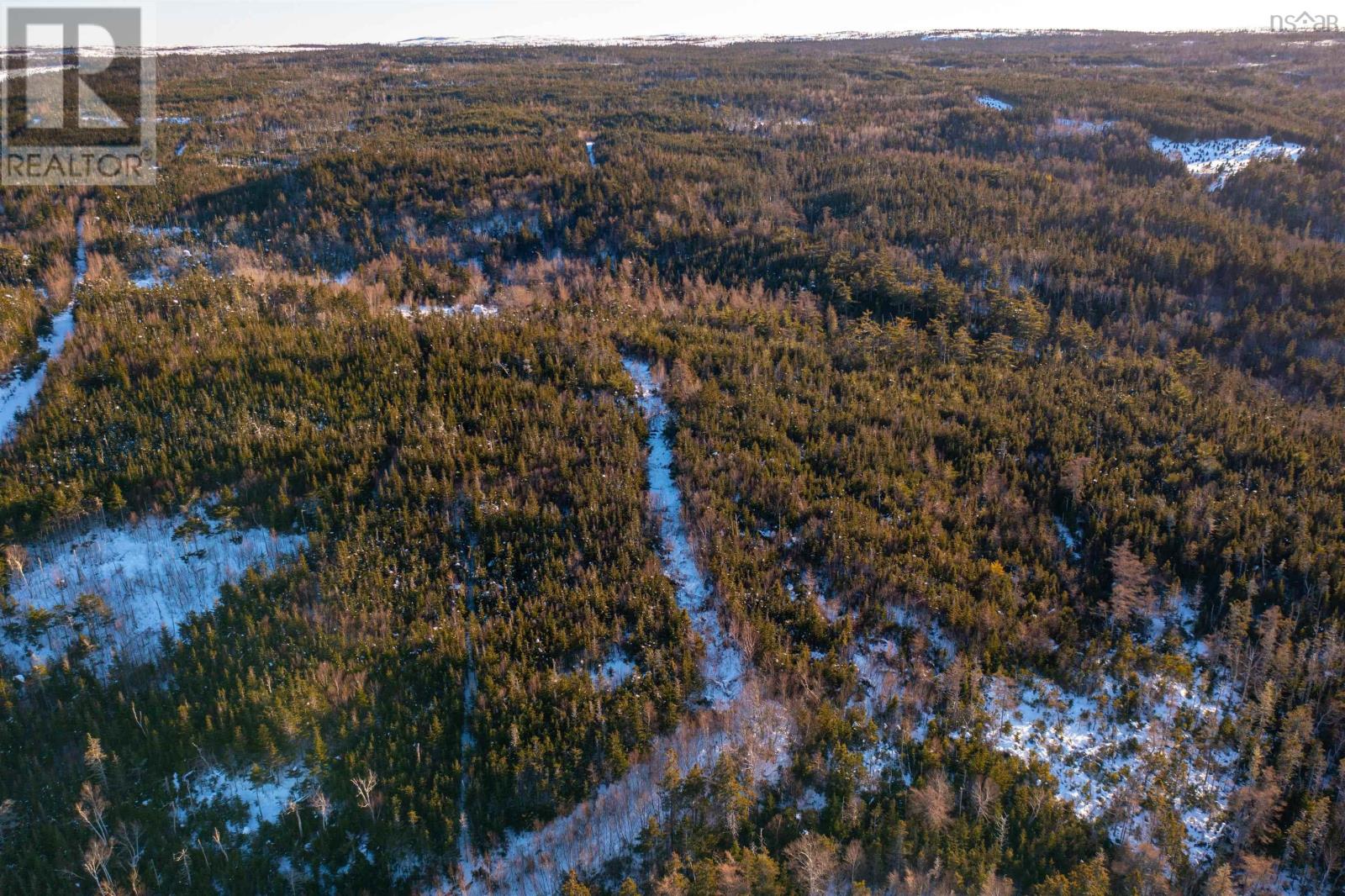 0 Highway 16, Peas Brook, Nova Scotia  B0H 1N0 - Photo 32 - 202402308