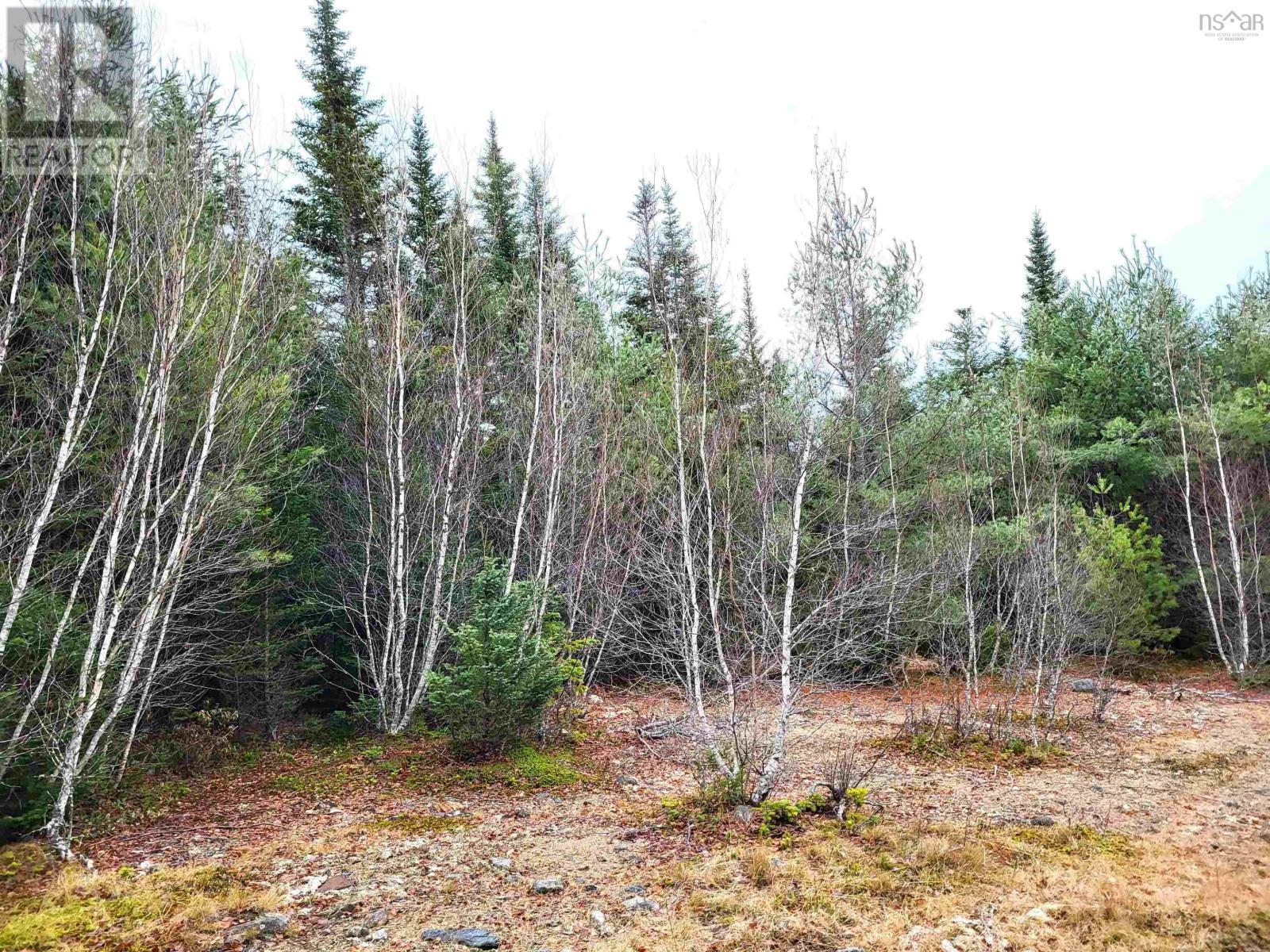 Lot Silver Road, Nineveh, Nova Scotia  B0R 1E0 - Photo 10 - 202402328