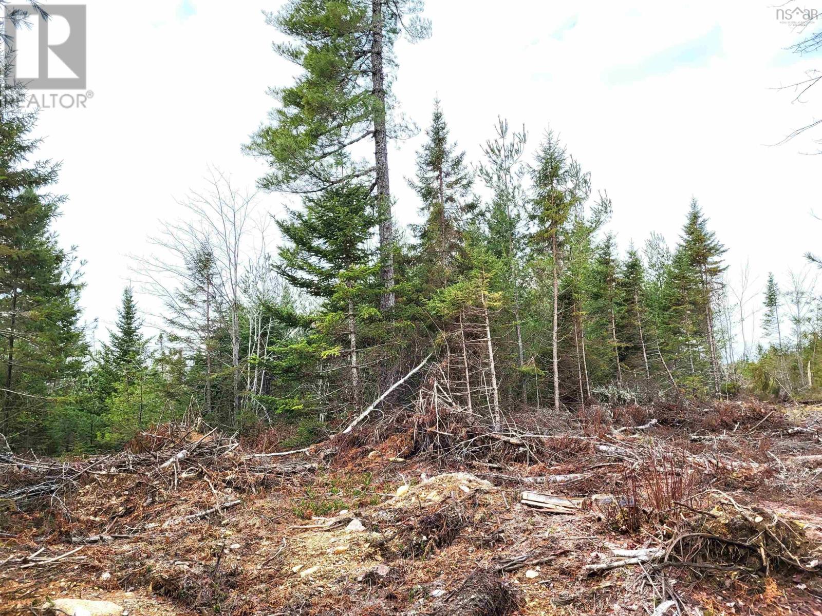 Lot Silver Road, Nineveh, Nova Scotia  B0R 1E0 - Photo 14 - 202402328