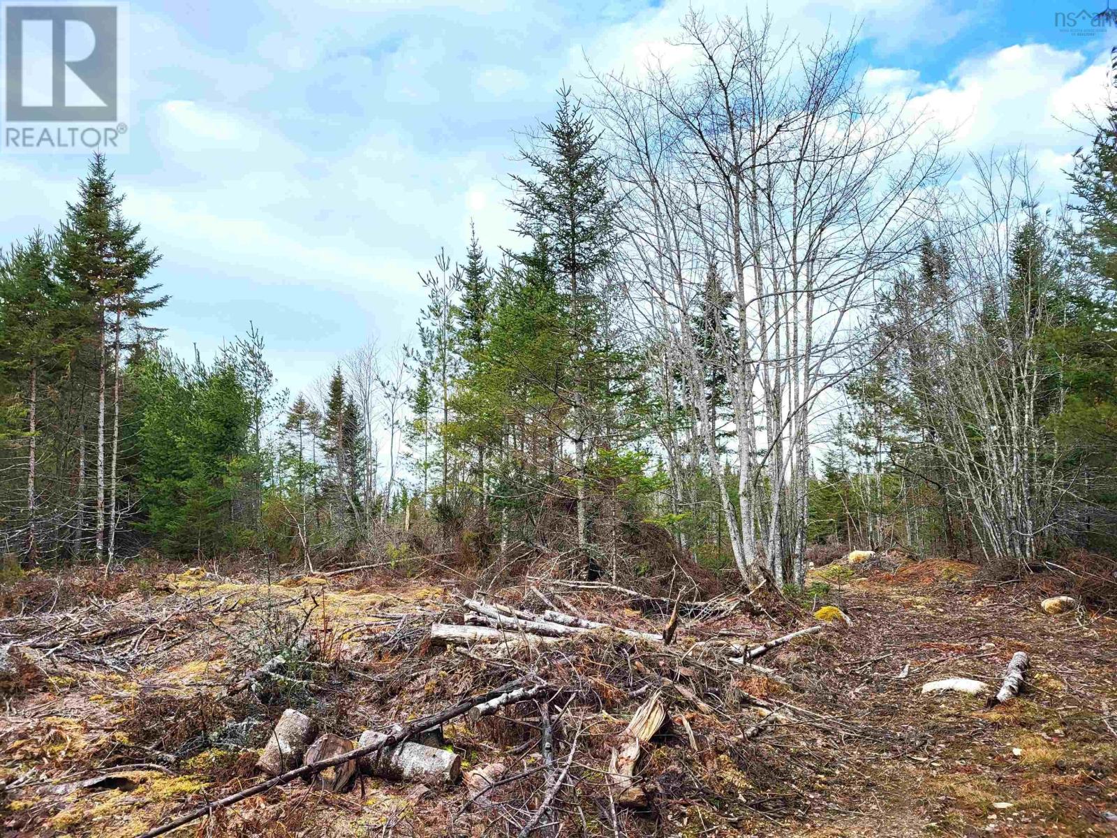 Lot Silver Road, Nineveh, Nova Scotia  B0R 1E0 - Photo 15 - 202402328