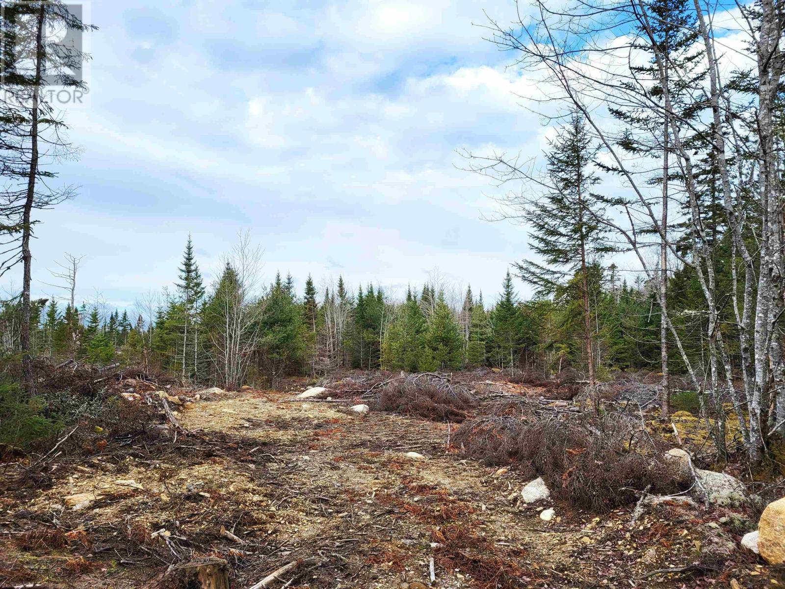 Lot Silver Road, Nineveh, Nova Scotia  B0R 1E0 - Photo 16 - 202402328