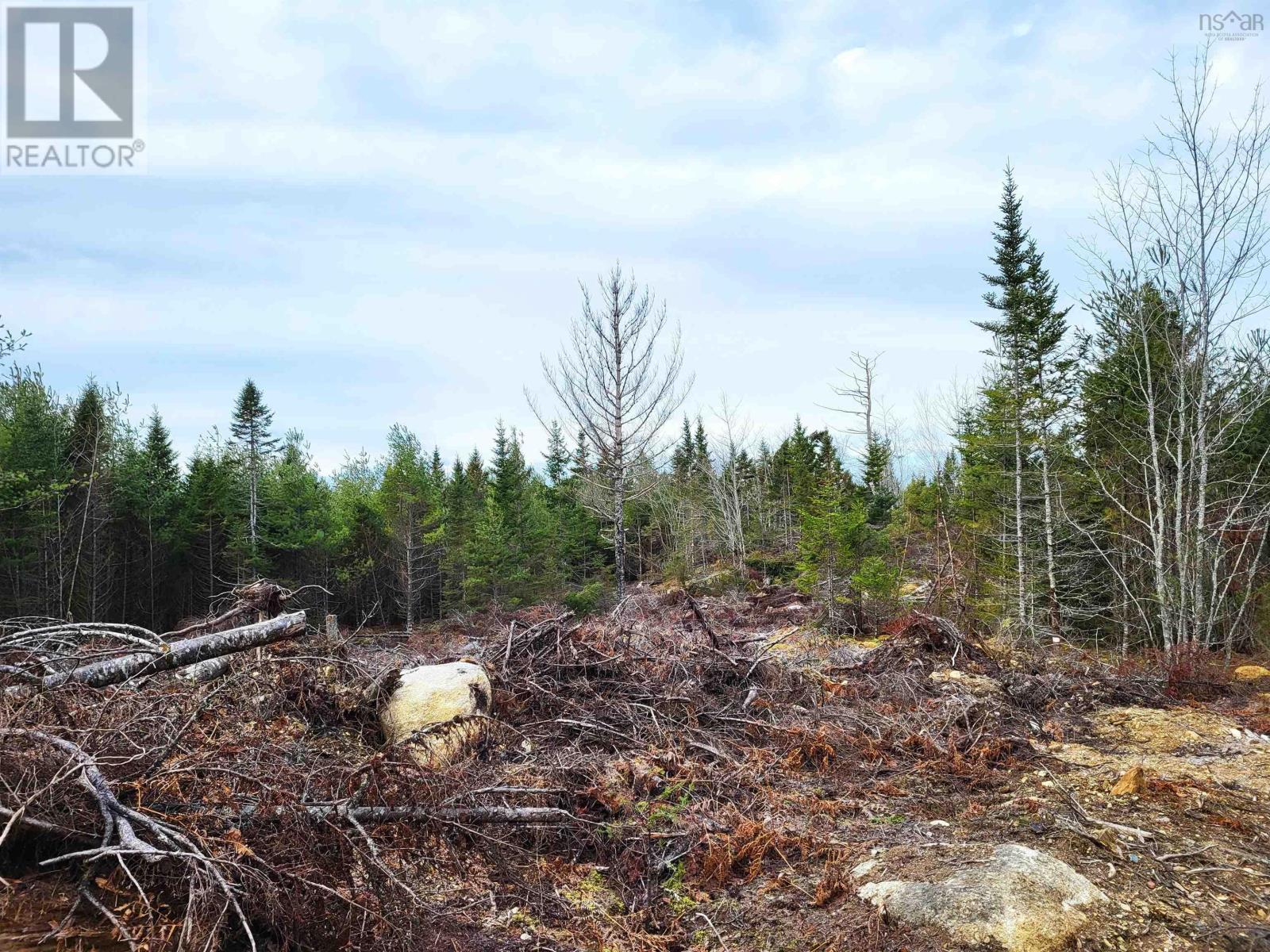 Lot Silver Road, Nineveh, Nova Scotia  B0R 1E0 - Photo 17 - 202402328