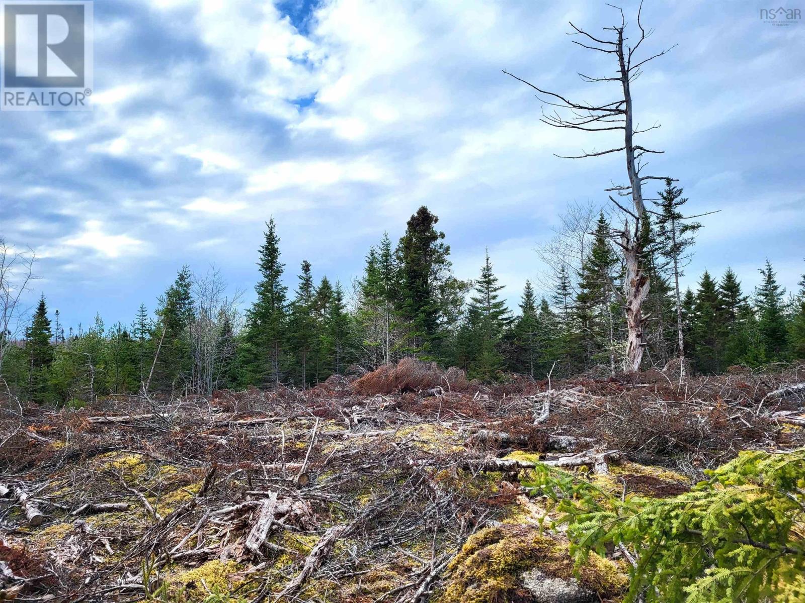 Lot Silver Road, Nineveh, Nova Scotia  B0R 1E0 - Photo 18 - 202402328