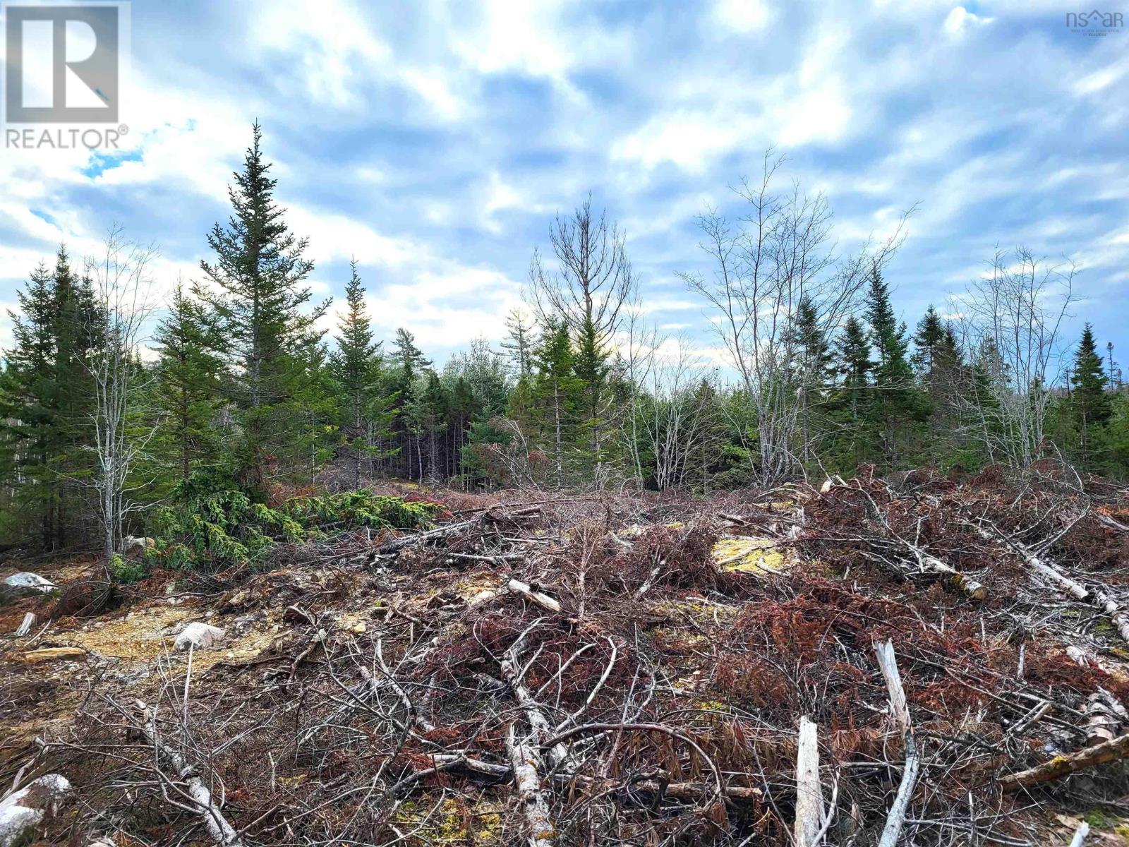 Lot Silver Road, Nineveh, Nova Scotia  B0R 1E0 - Photo 19 - 202402328