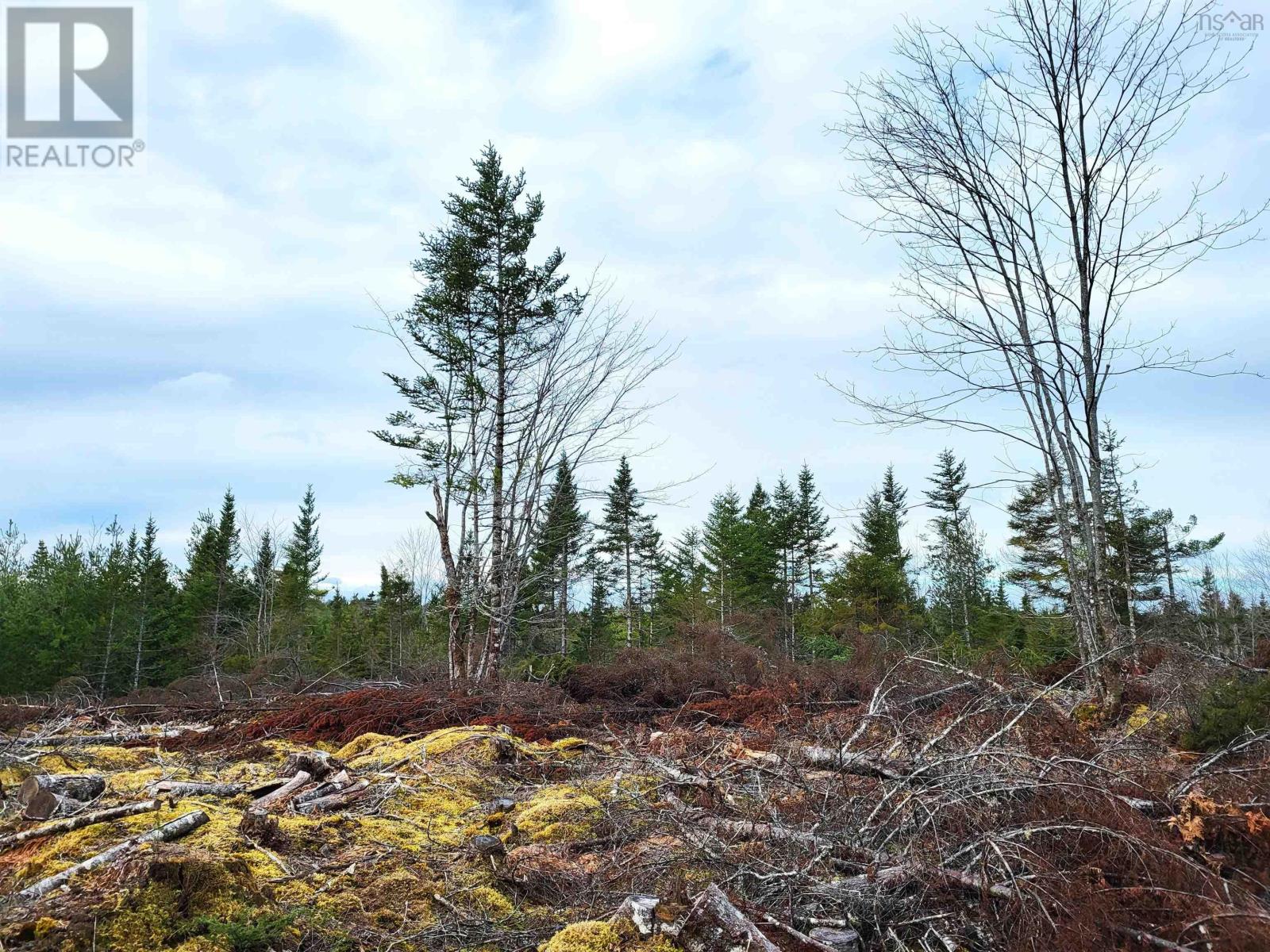 Lot Silver Road, Nineveh, Nova Scotia  B0R 1E0 - Photo 20 - 202402328