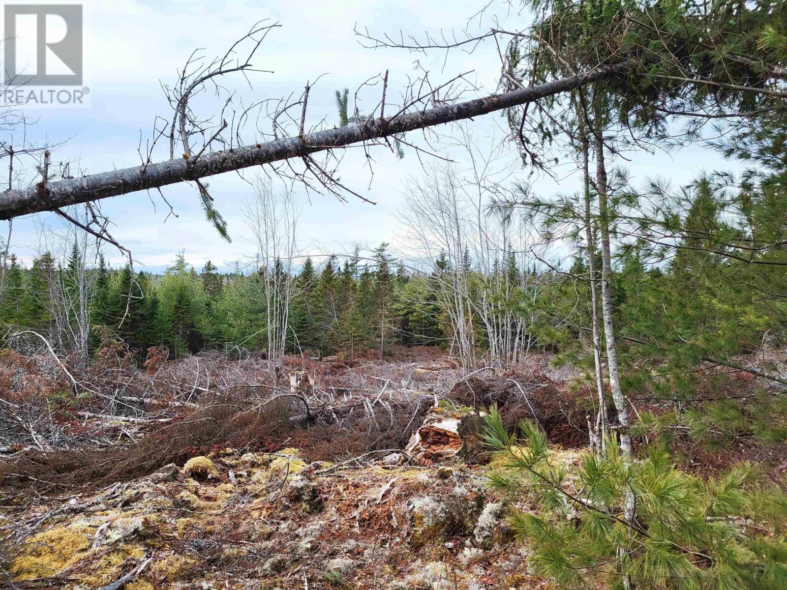 Lot Silver Road, Nineveh, Nova Scotia  B0R 1E0 - Photo 21 - 202402328