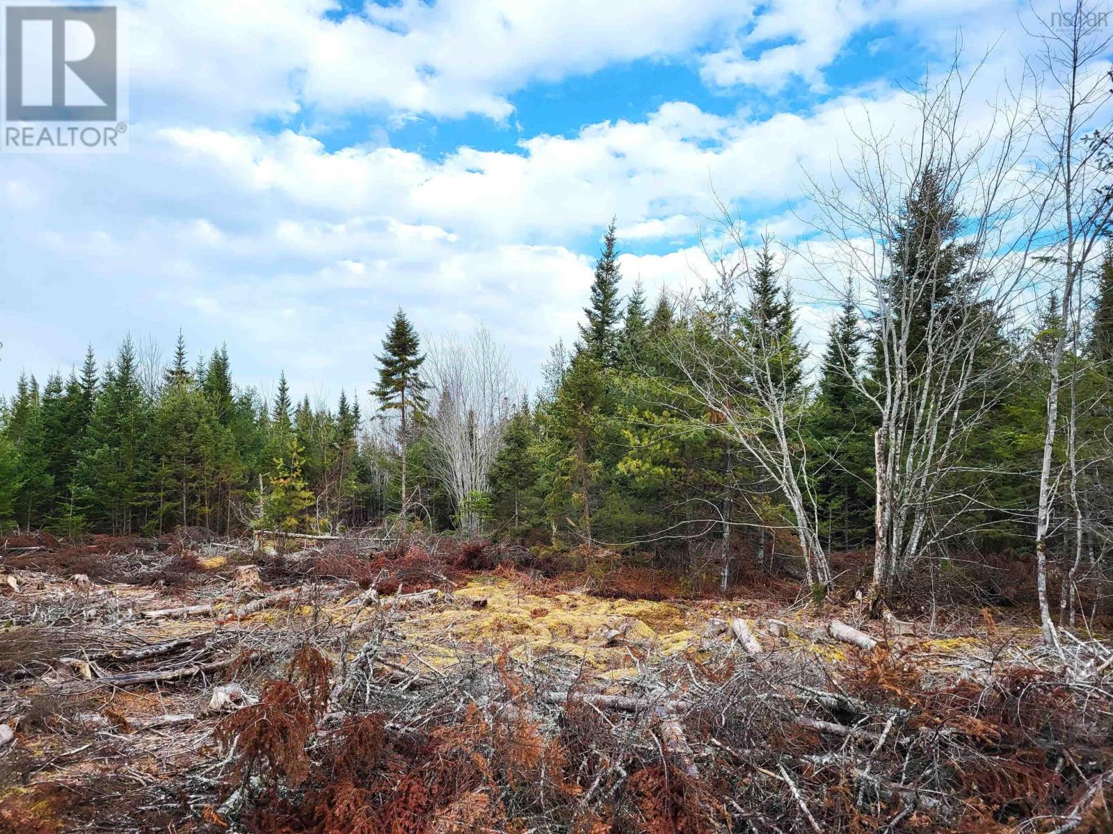 Lot Silver Road, Nineveh, Nova Scotia  B0R 1E0 - Photo 22 - 202402328