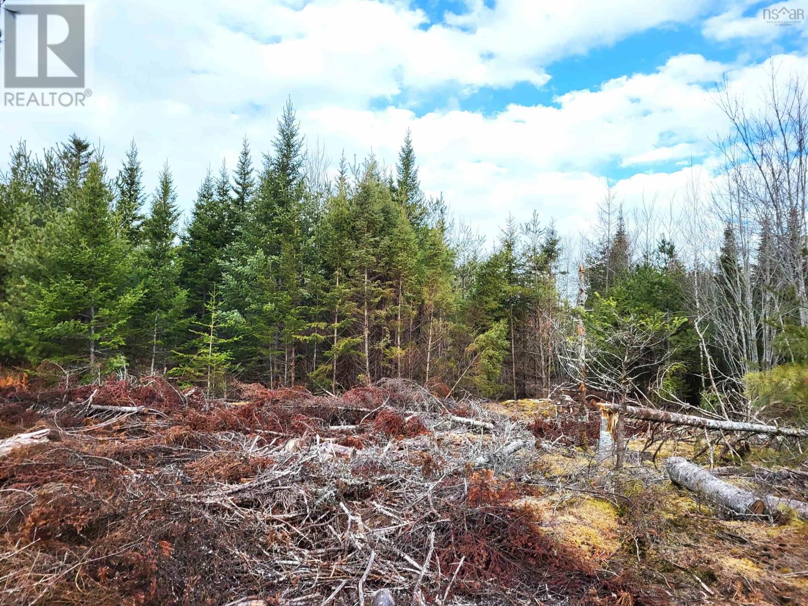 Lot Silver Road, Nineveh, Nova Scotia  B0R 1E0 - Photo 23 - 202402328