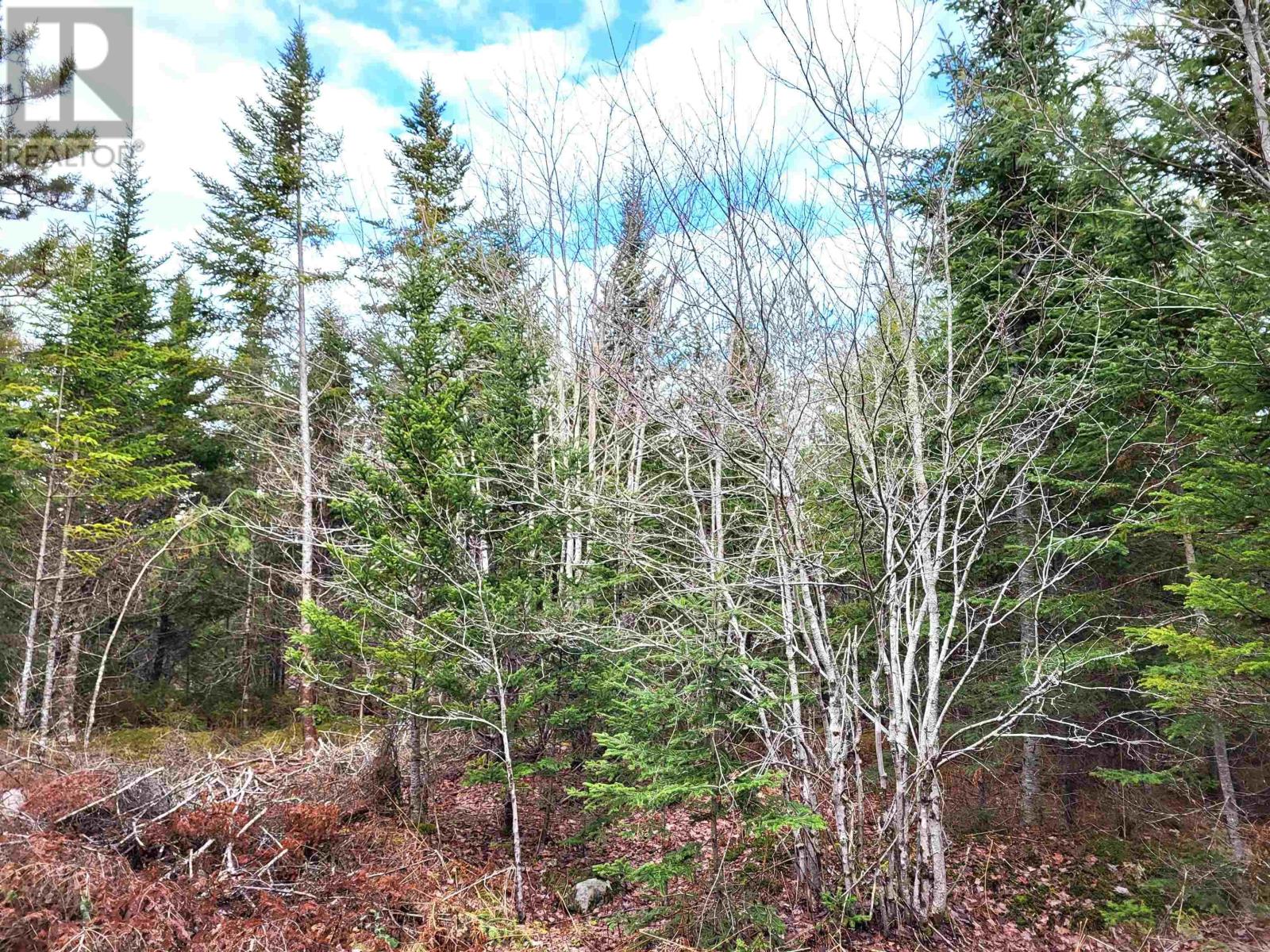 Lot Silver Road, Nineveh, Nova Scotia  B0R 1E0 - Photo 24 - 202402328