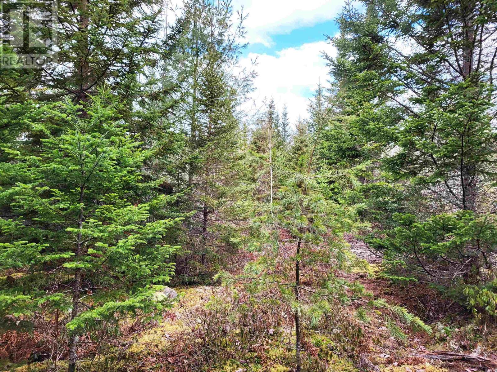 Lot Silver Road, Nineveh, Nova Scotia  B0R 1E0 - Photo 25 - 202402328