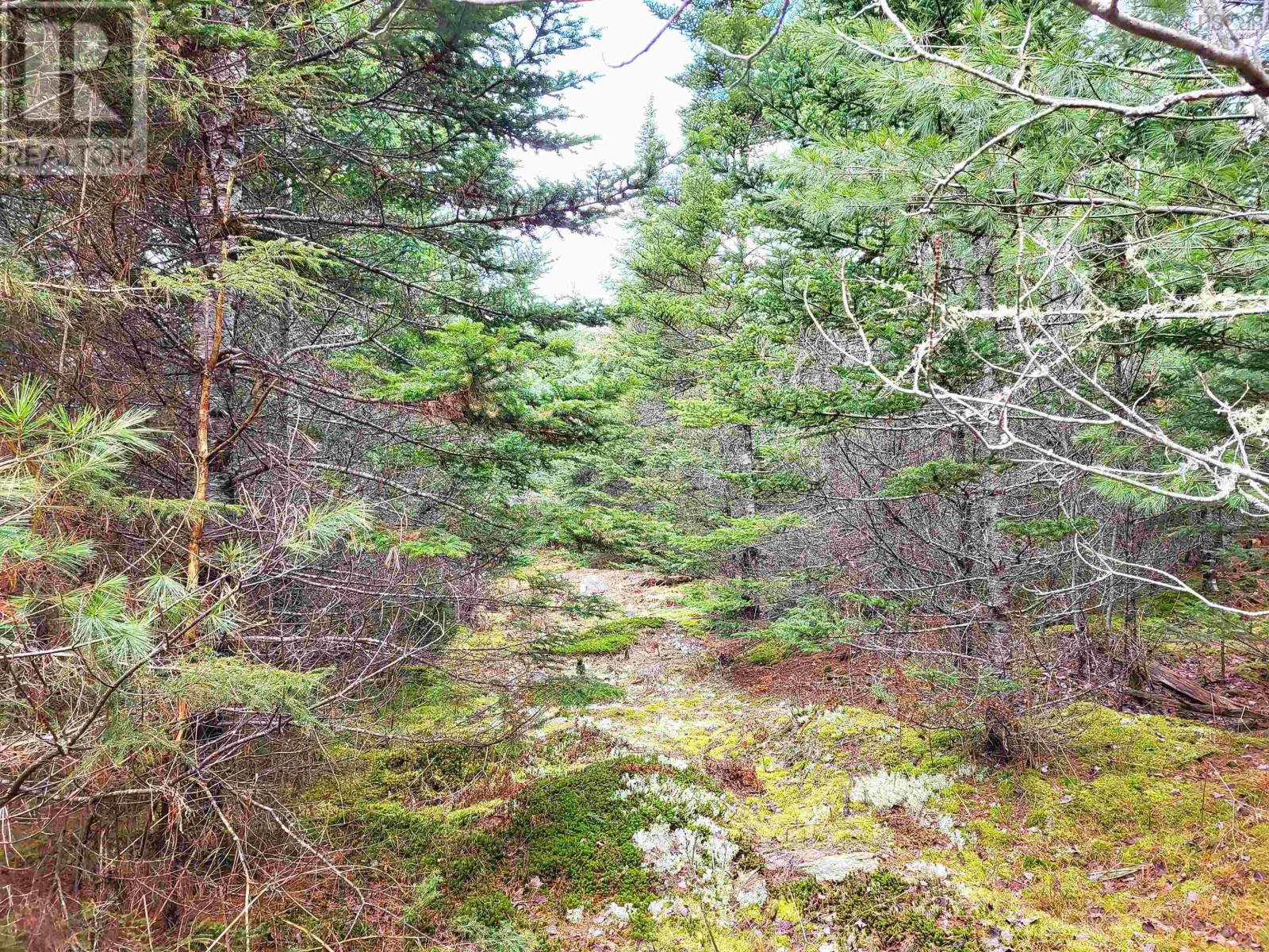 Lot Silver Road, Nineveh, Nova Scotia  B0R 1E0 - Photo 27 - 202402328