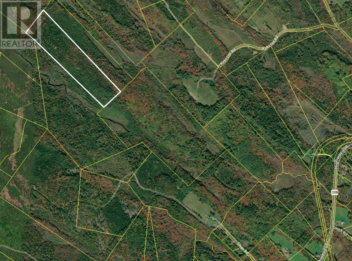 Lot Silver Road, Nineveh, Nova Scotia  B0R 1E0 - Photo 3 - 202402328