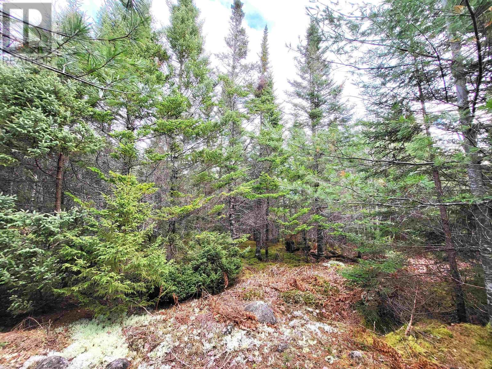 Lot Silver Road, Nineveh, Nova Scotia  B0R 1E0 - Photo 30 - 202402328