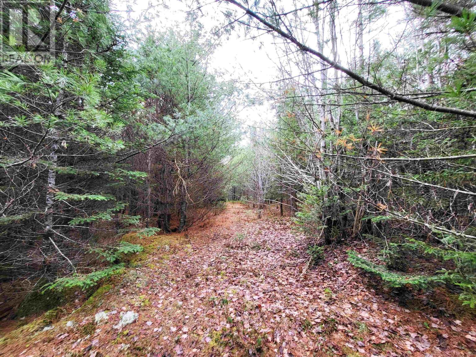 Lot Silver Road, Nineveh, Nova Scotia  B0R 1E0 - Photo 31 - 202402328