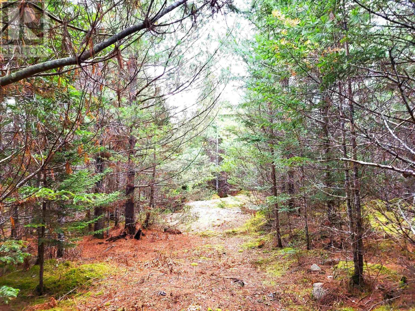 Lot Silver Road, Nineveh, Nova Scotia  B0R 1E0 - Photo 32 - 202402328