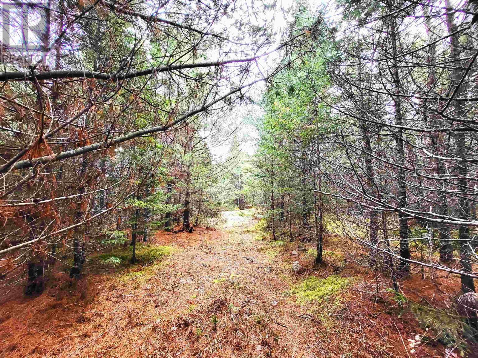 Lot Silver Road, Nineveh, Nova Scotia  B0R 1E0 - Photo 4 - 202402328