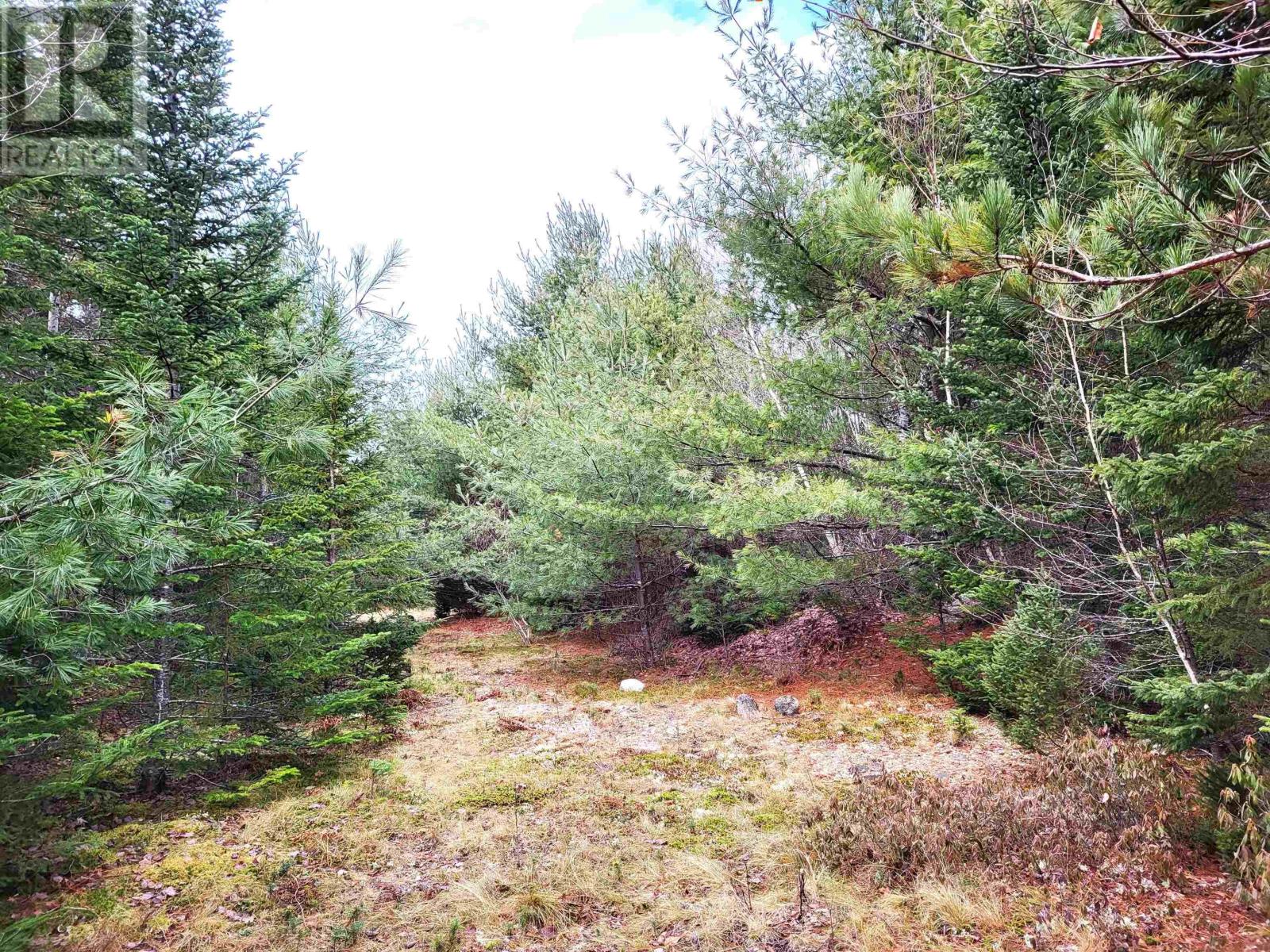 Lot Silver Road, Nineveh, Nova Scotia  B0R 1E0 - Photo 5 - 202402328