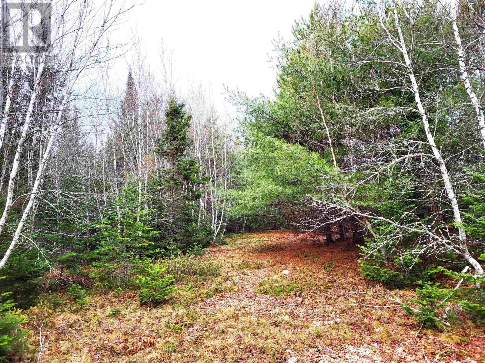 Lot Silver Road, Nineveh, Nova Scotia  B0R 1E0 - Photo 6 - 202402328