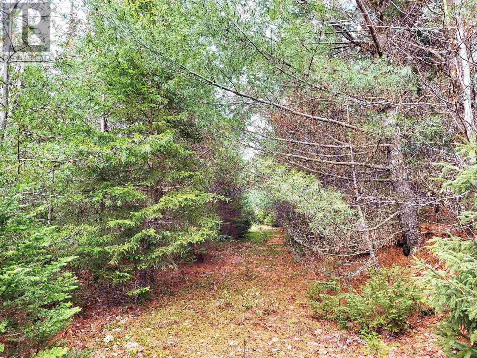 Lot Silver Road, Nineveh, Nova Scotia  B0R 1E0 - Photo 7 - 202402328