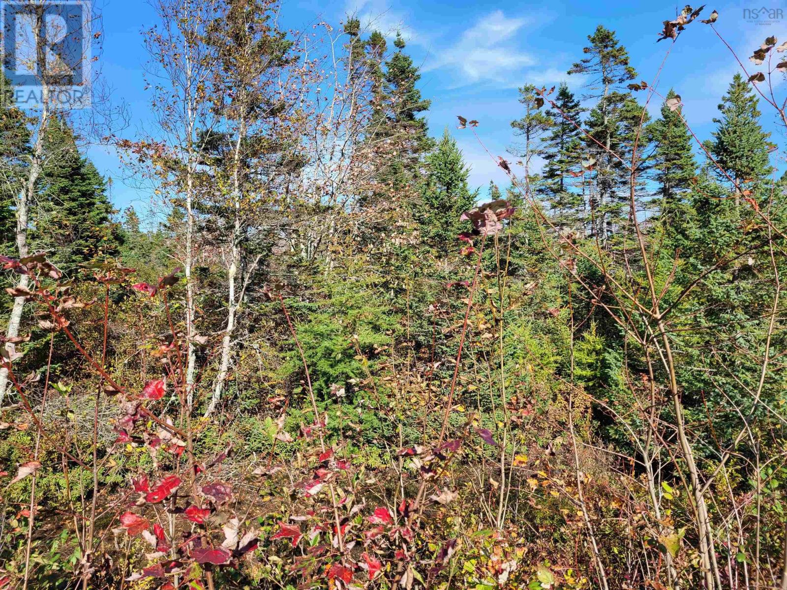 Lot Dp-9a Huey Lake Road, West Dublin, Nova Scotia  B0R 1C0 - Photo 14 - 202402449