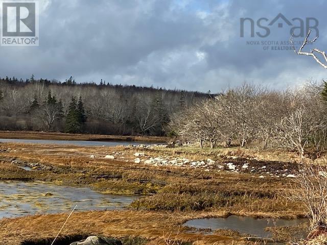 Lot Sandy Point Road, Jordan Bay, Nova Scotia  B0T 1W0 - Photo 5 - 202402631