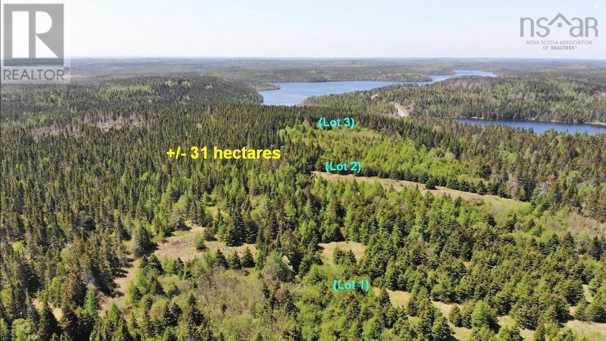 100 Acres Upper Grand Mira Road, Upper Grand Mira, Nova Scotia  B1K 1M1 - Photo 16 - 202402651