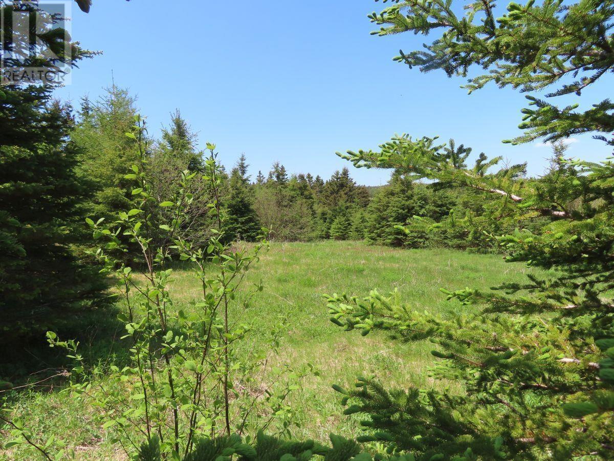 100 Acres Upper Grand Mira Road, Upper Grand Mira, Nova Scotia  B1K 1M1 - Photo 20 - 202402651