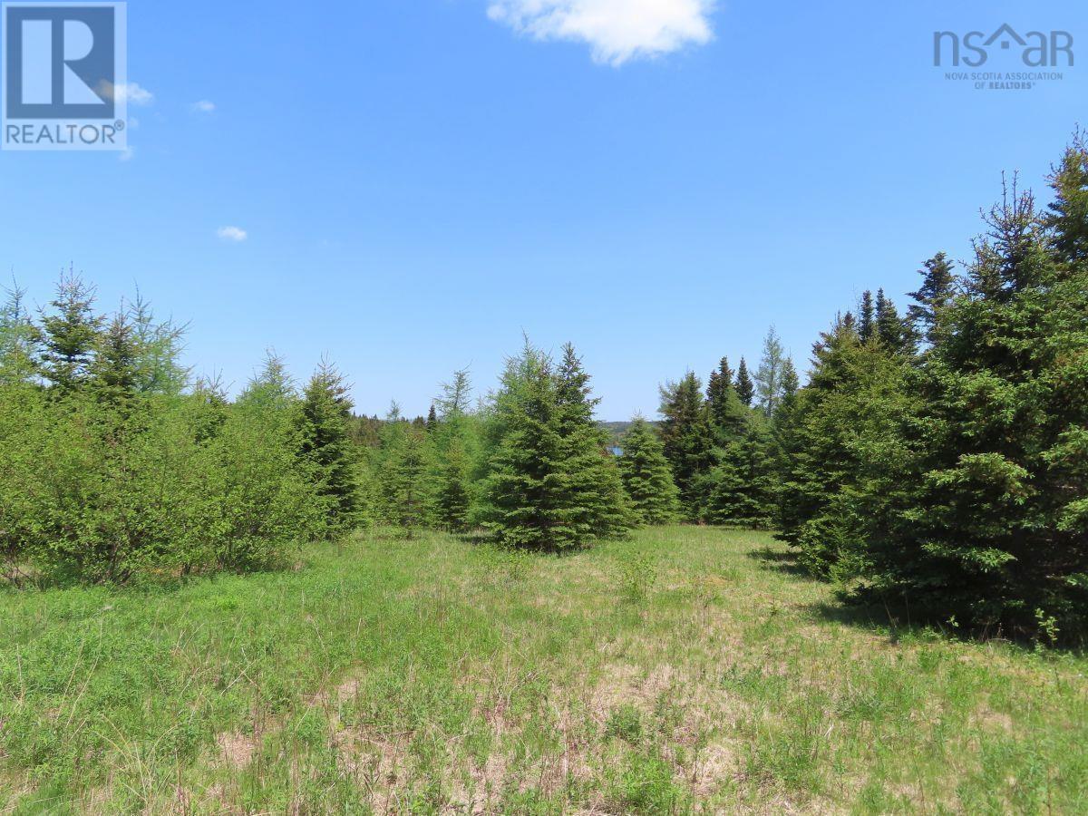 100 Acres Upper Grand Mira Road, Upper Grand Mira, Nova Scotia  B1K 1M1 - Photo 21 - 202402651