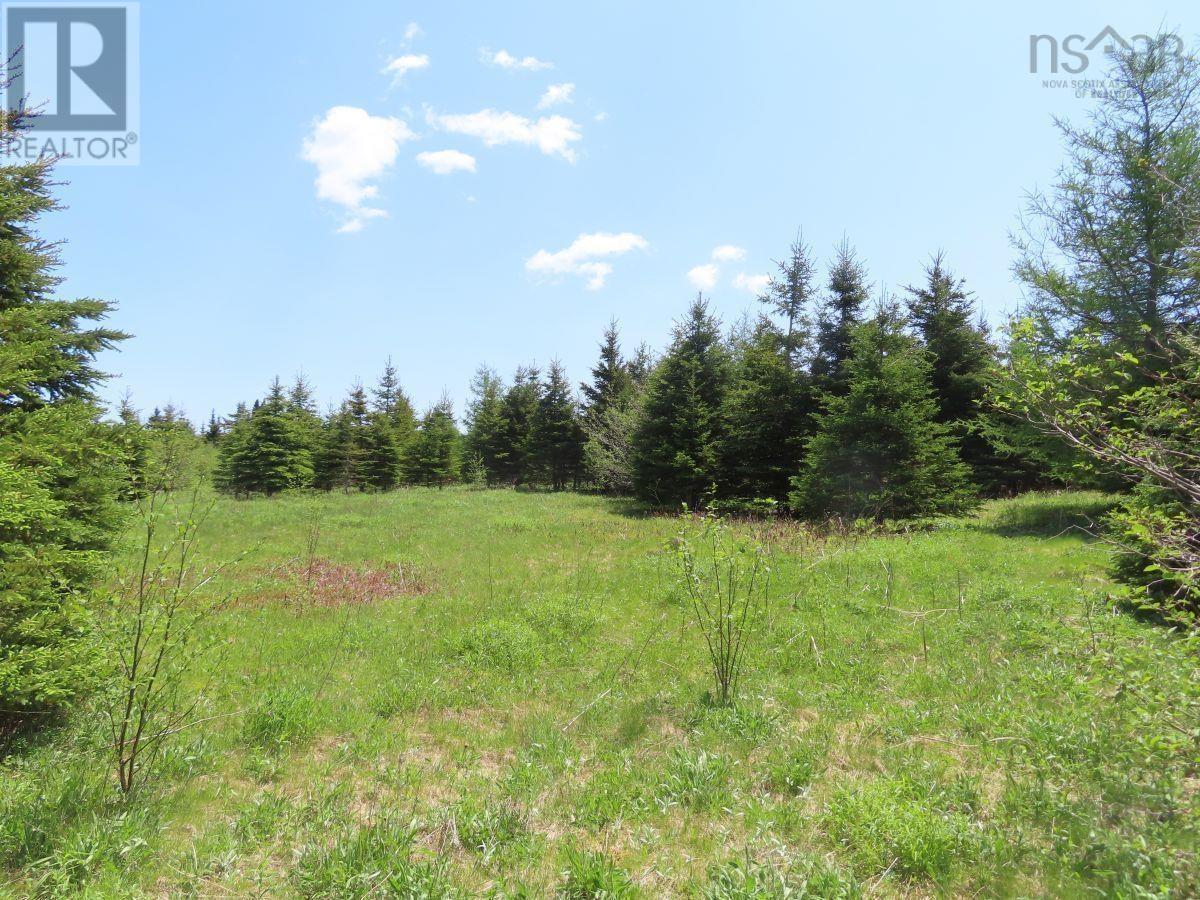 100 Acres Upper Grand Mira Road, Upper Grand Mira, Nova Scotia  B1K 1M1 - Photo 22 - 202402651