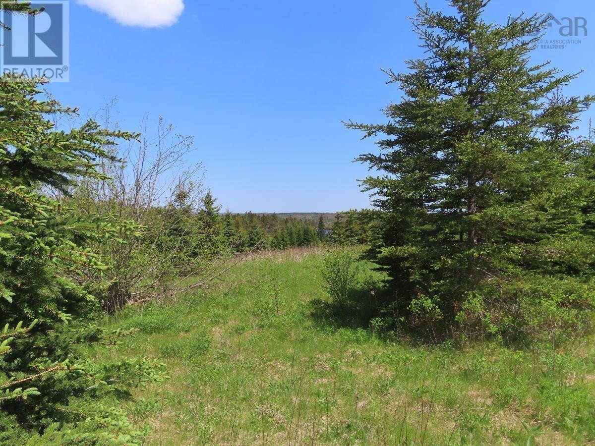 100 Acres Upper Grand Mira Road, Upper Grand Mira, Nova Scotia  B1K 1M1 - Photo 23 - 202402651