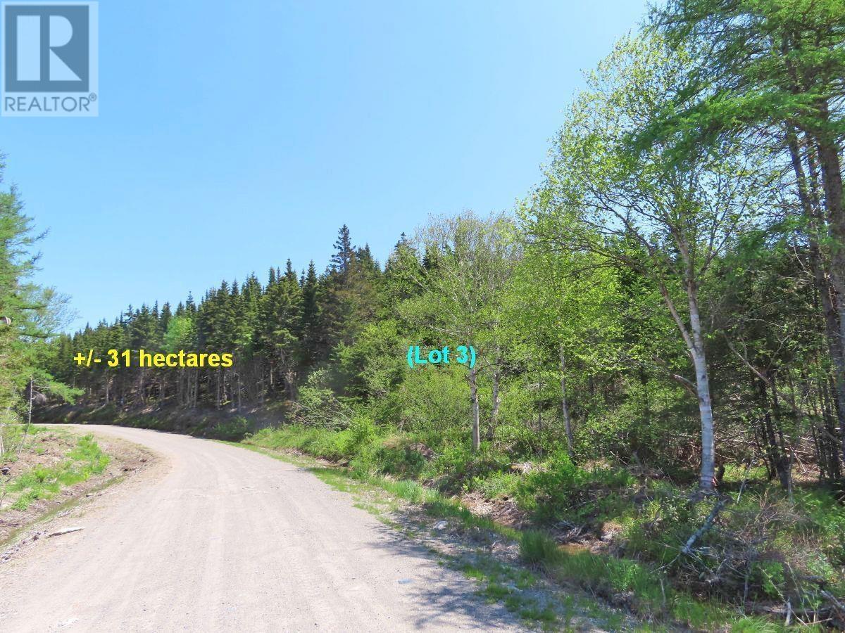 100 Acres Upper Grand Mira Road, Upper Grand Mira, Nova Scotia  B1K 1M1 - Photo 24 - 202402651