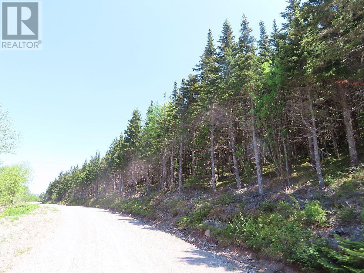 100 Acres Upper Grand Mira Road, Upper Grand Mira, Nova Scotia  B1K 1M1 - Photo 25 - 202402651