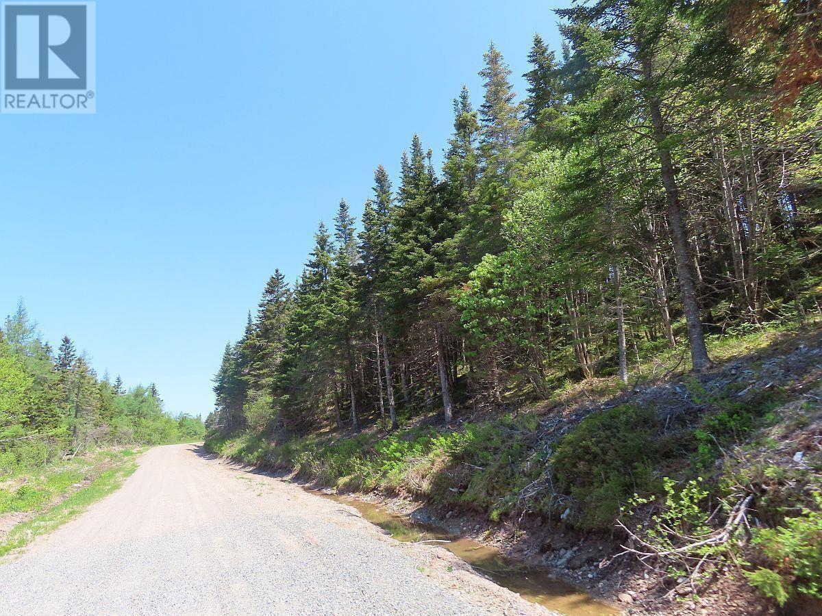 100 Acres Upper Grand Mira Road, Upper Grand Mira, Nova Scotia  B1K 1M1 - Photo 26 - 202402651