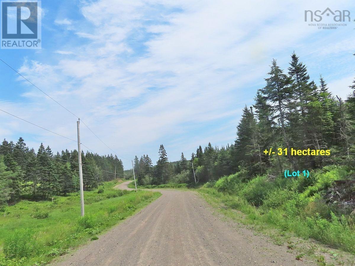 100 Acres Upper Grand Mira Road, Upper Grand Mira, Nova Scotia  B1K 1M1 - Photo 27 - 202402651