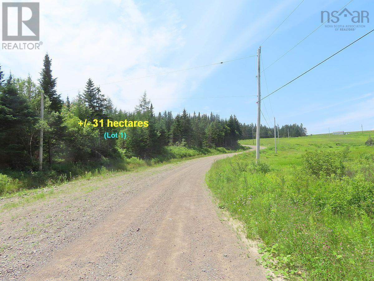 100 Acres Upper Grand Mira Road, Upper Grand Mira, Nova Scotia  B1K 1M1 - Photo 28 - 202402651