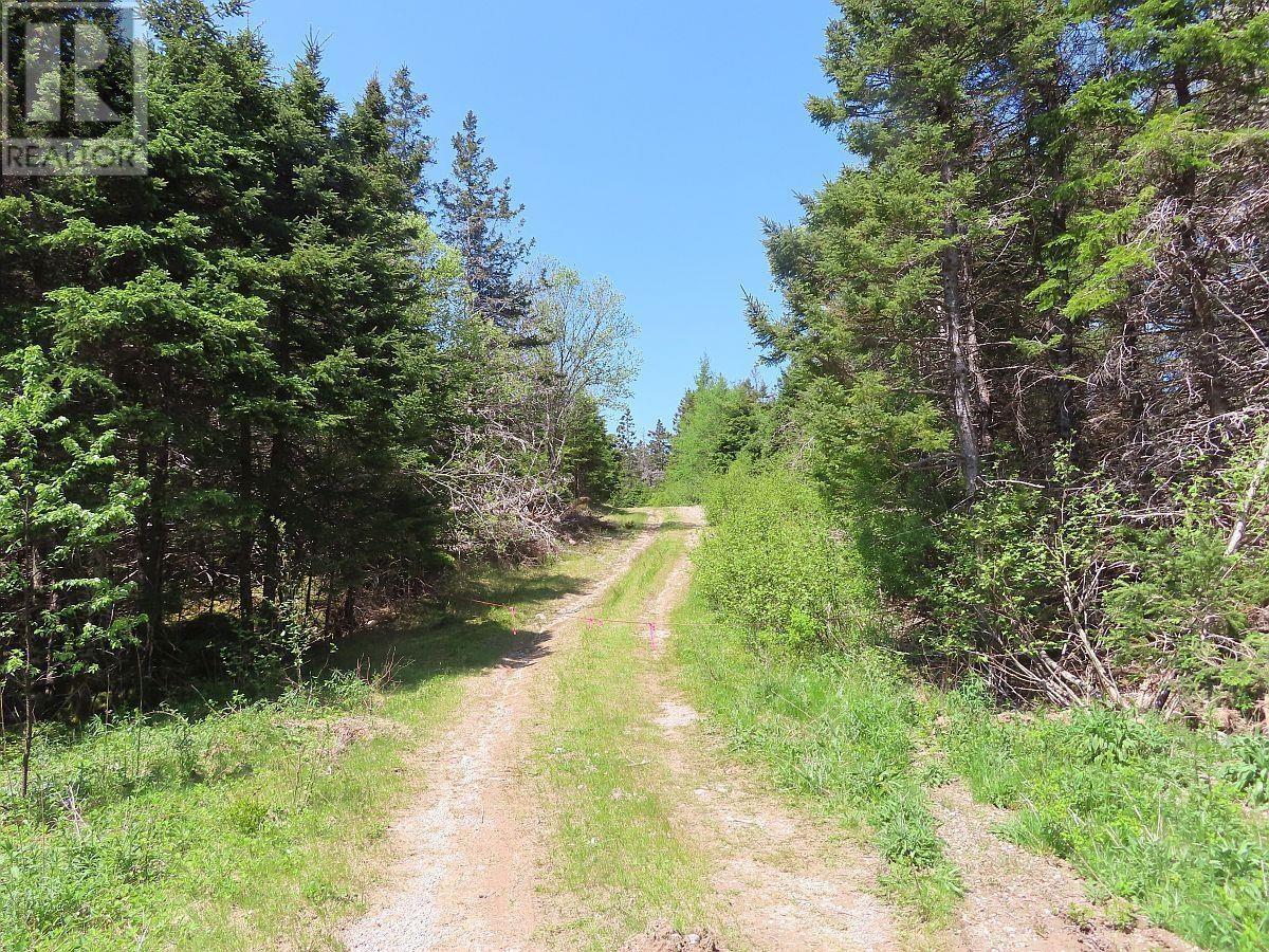 100 Acres Upper Grand Mira Road, Upper Grand Mira, Nova Scotia  B1K 1M1 - Photo 38 - 202402651