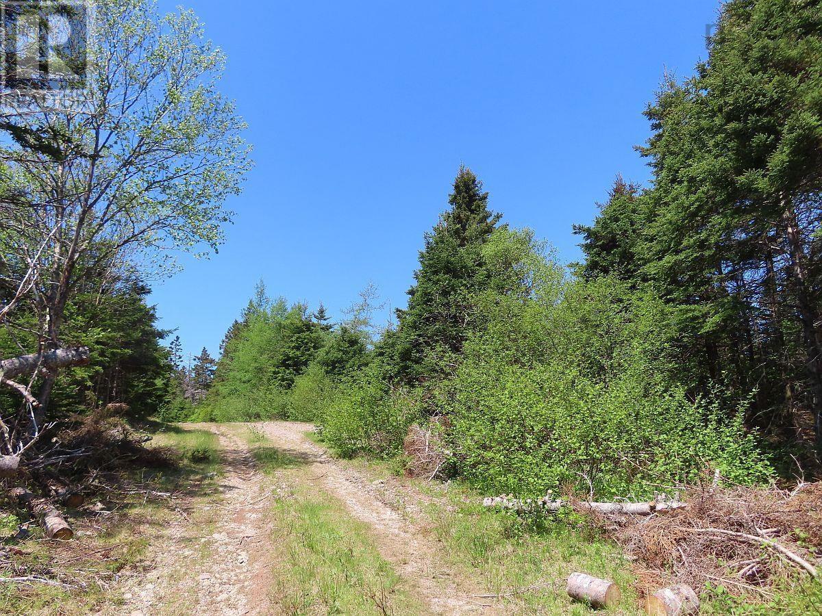 100 Acres Upper Grand Mira Road, Upper Grand Mira, Nova Scotia  B1K 1M1 - Photo 39 - 202402651