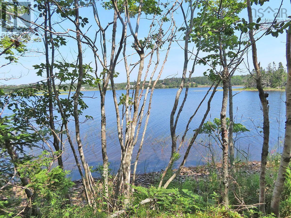 190 Acres Middle Road, Pondville, Nova Scotia  B0E 1K0 - Photo 17 - 202402690