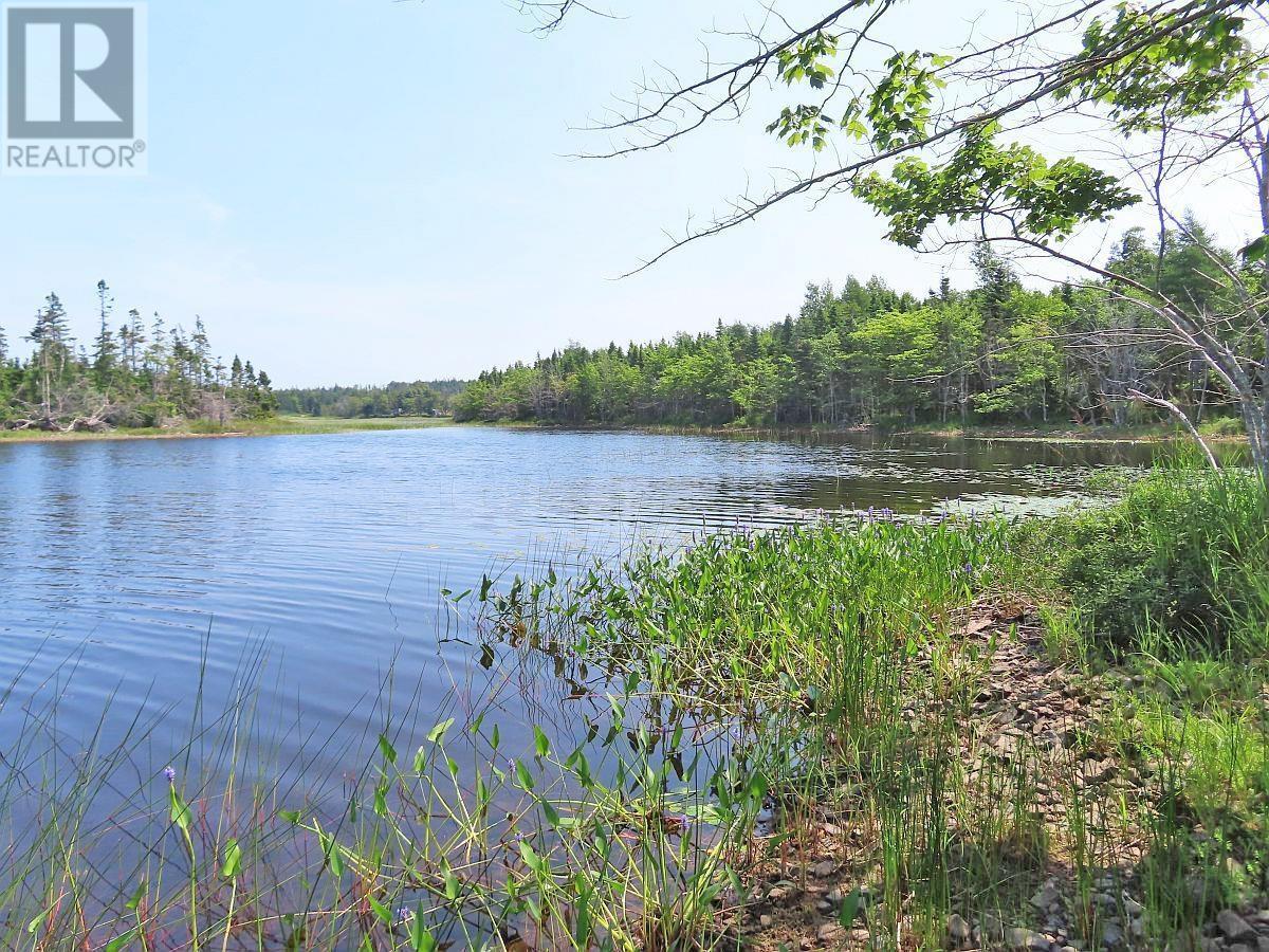 190 Acres Middle Road, Pondville, Nova Scotia  B0E 1K0 - Photo 22 - 202402690